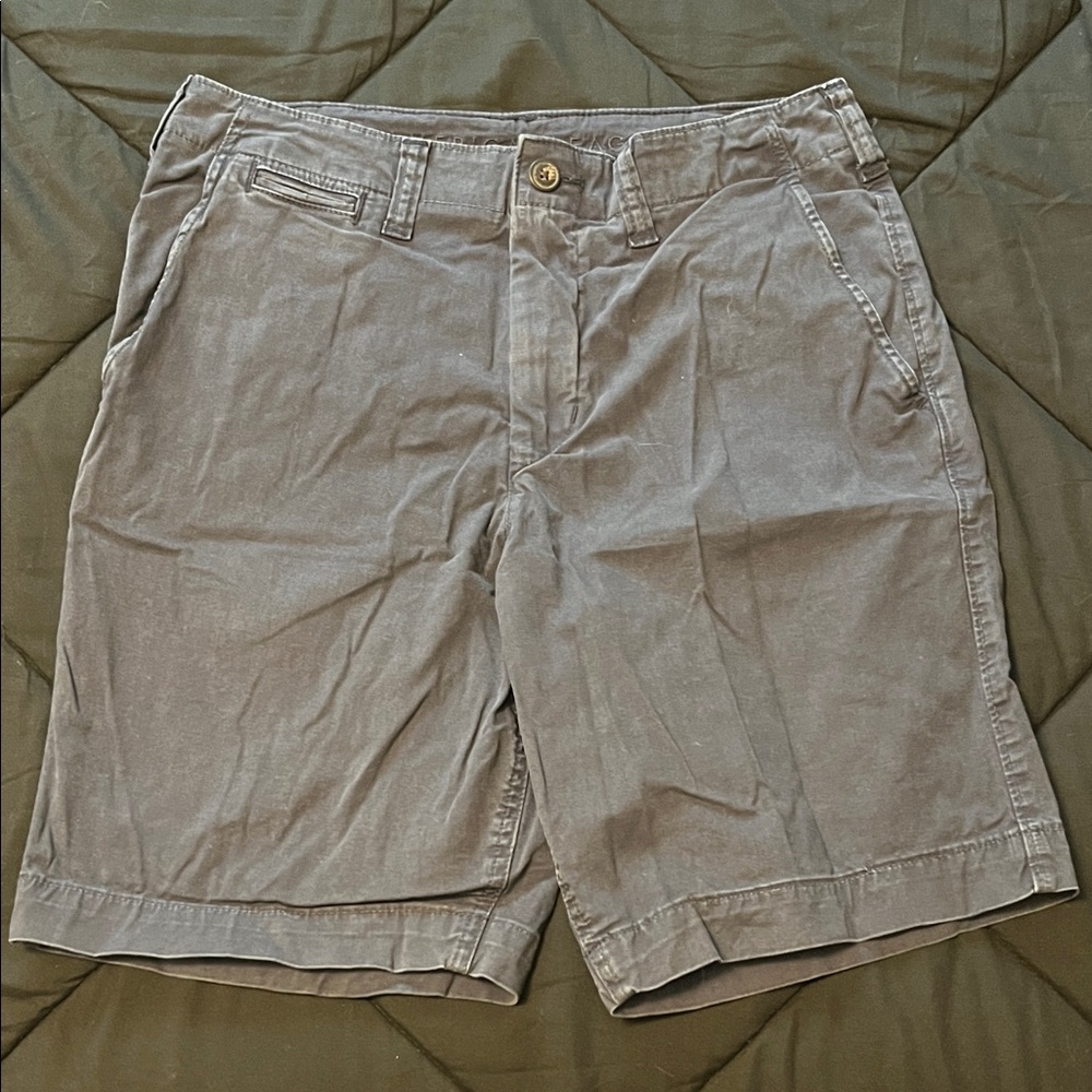 American Eagle Outfitters Men's Gray Flat Front Shorts